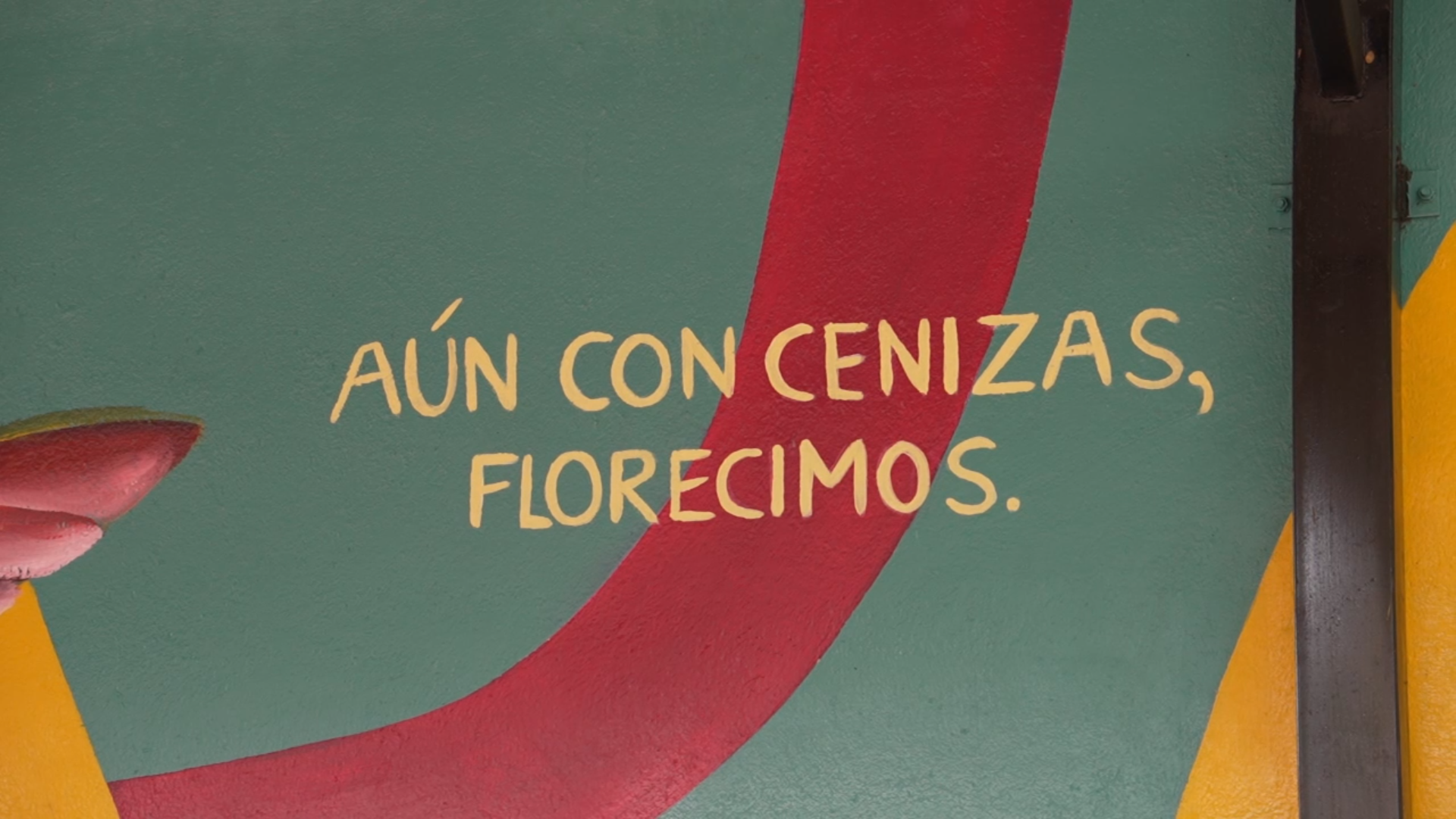 CAPÍTULO 4 SAN BERNARDO