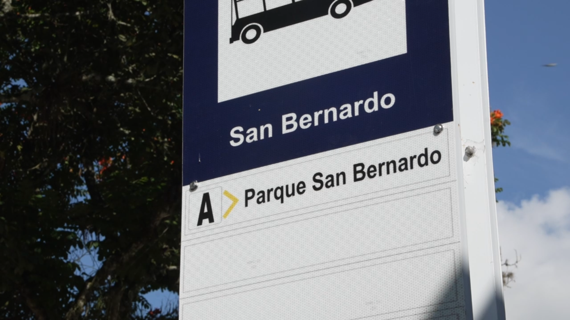 CAPÍTULO 4 SAN BERNARDO(2)